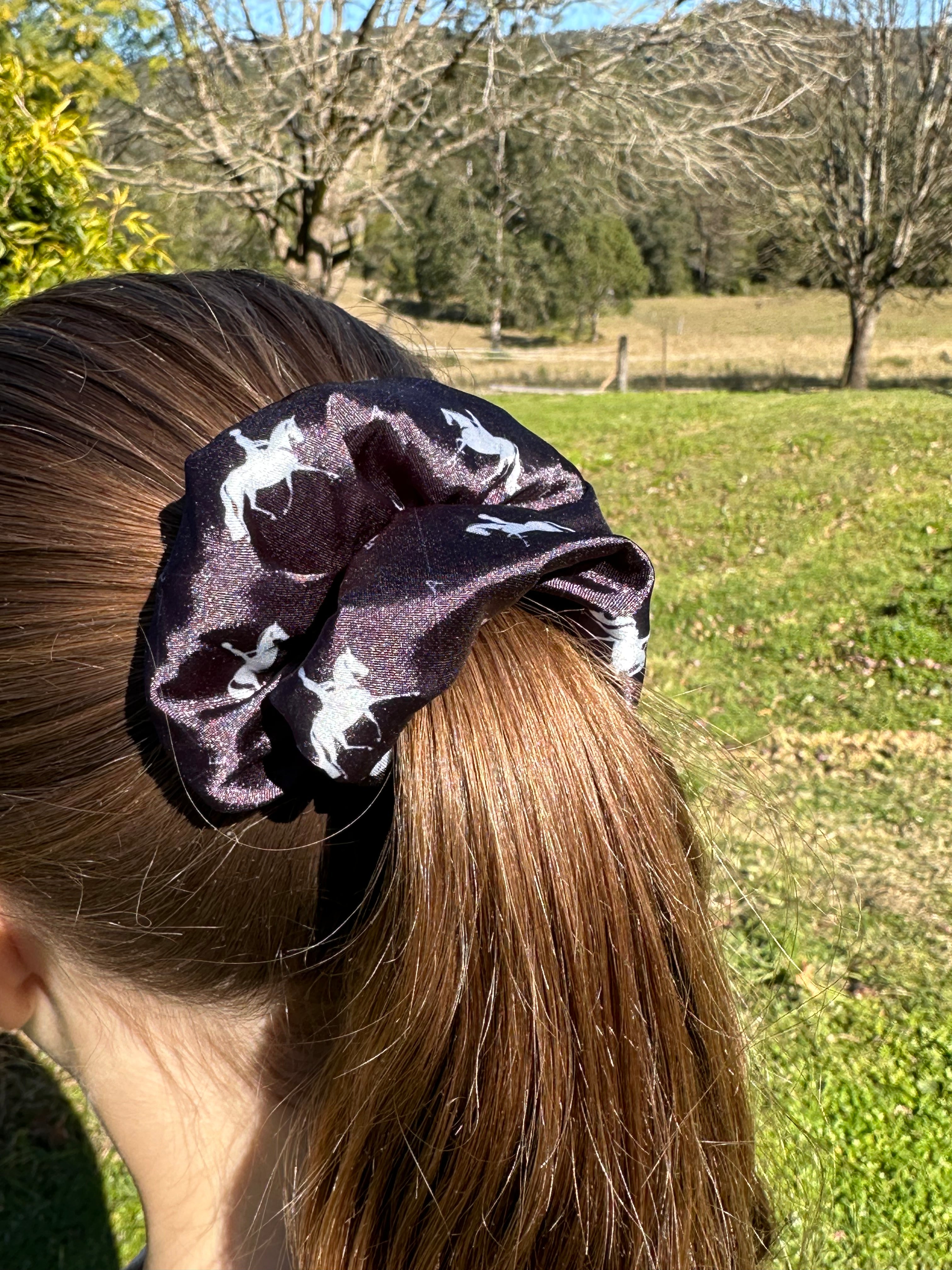 Dressage Scrunchie 2 pack