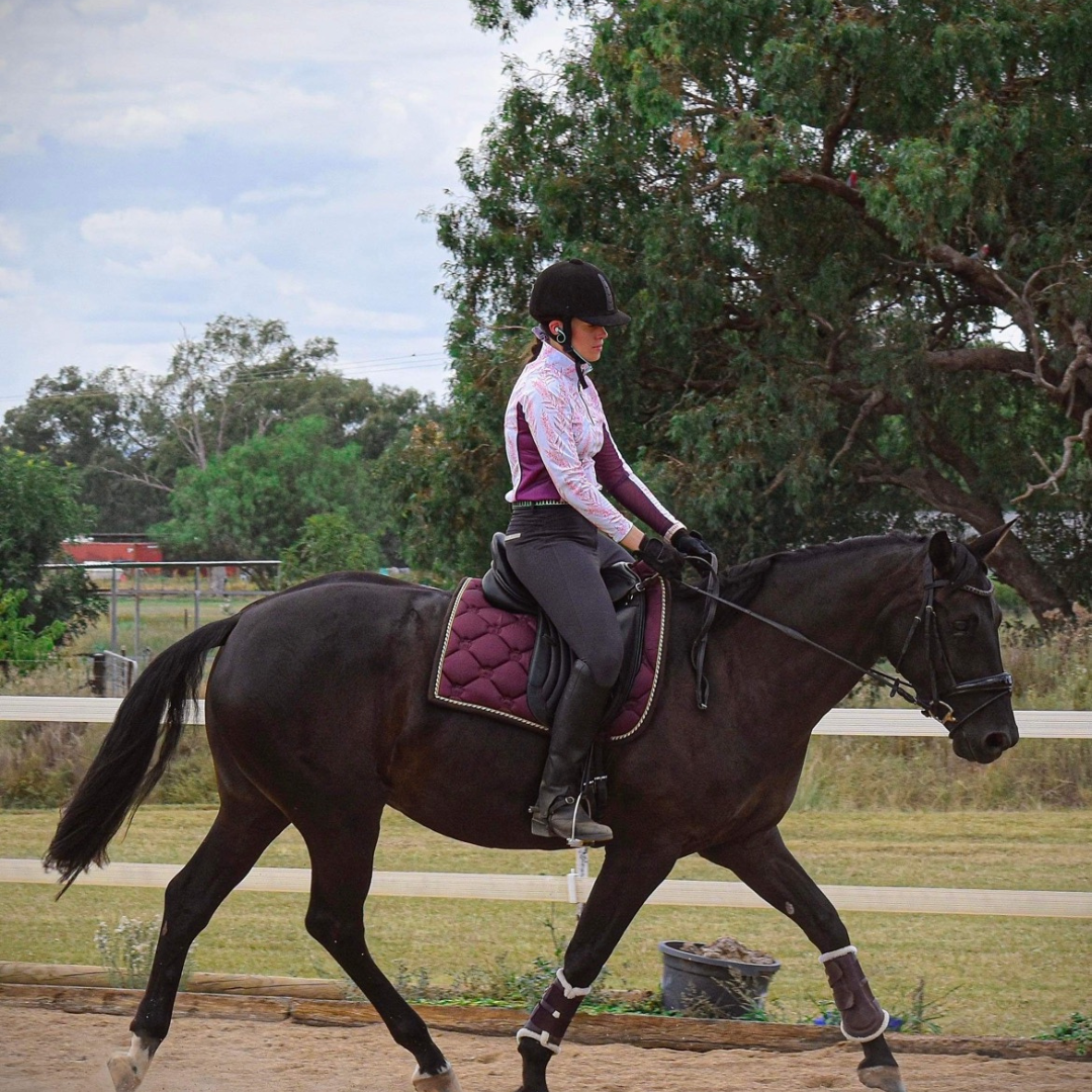 Equestrian Baselayer