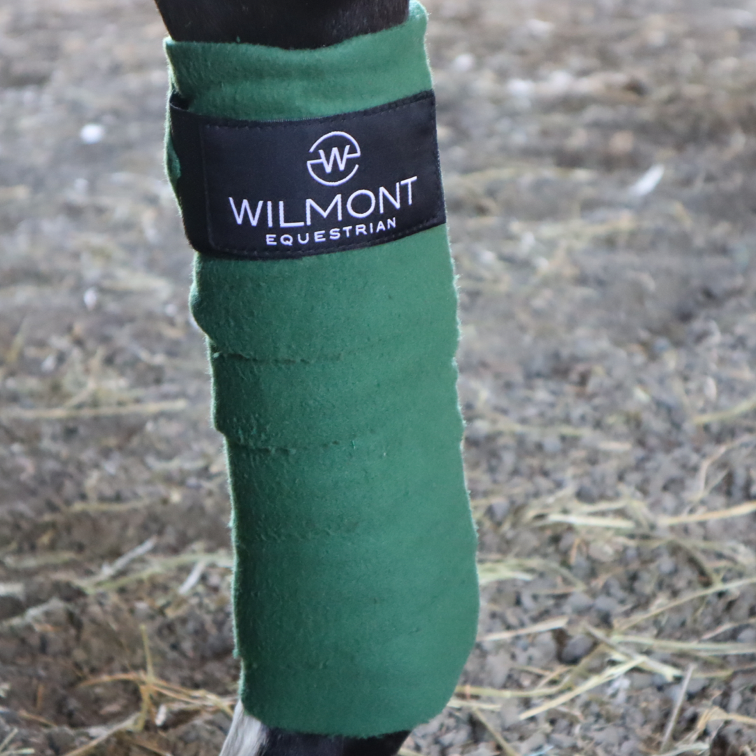 Bandages -set of 4x green