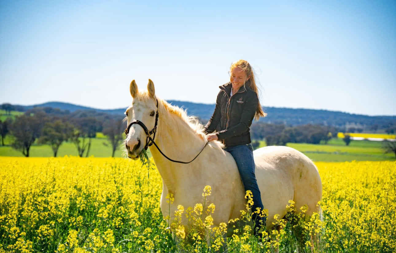 Ultimate Equestrian Jacket