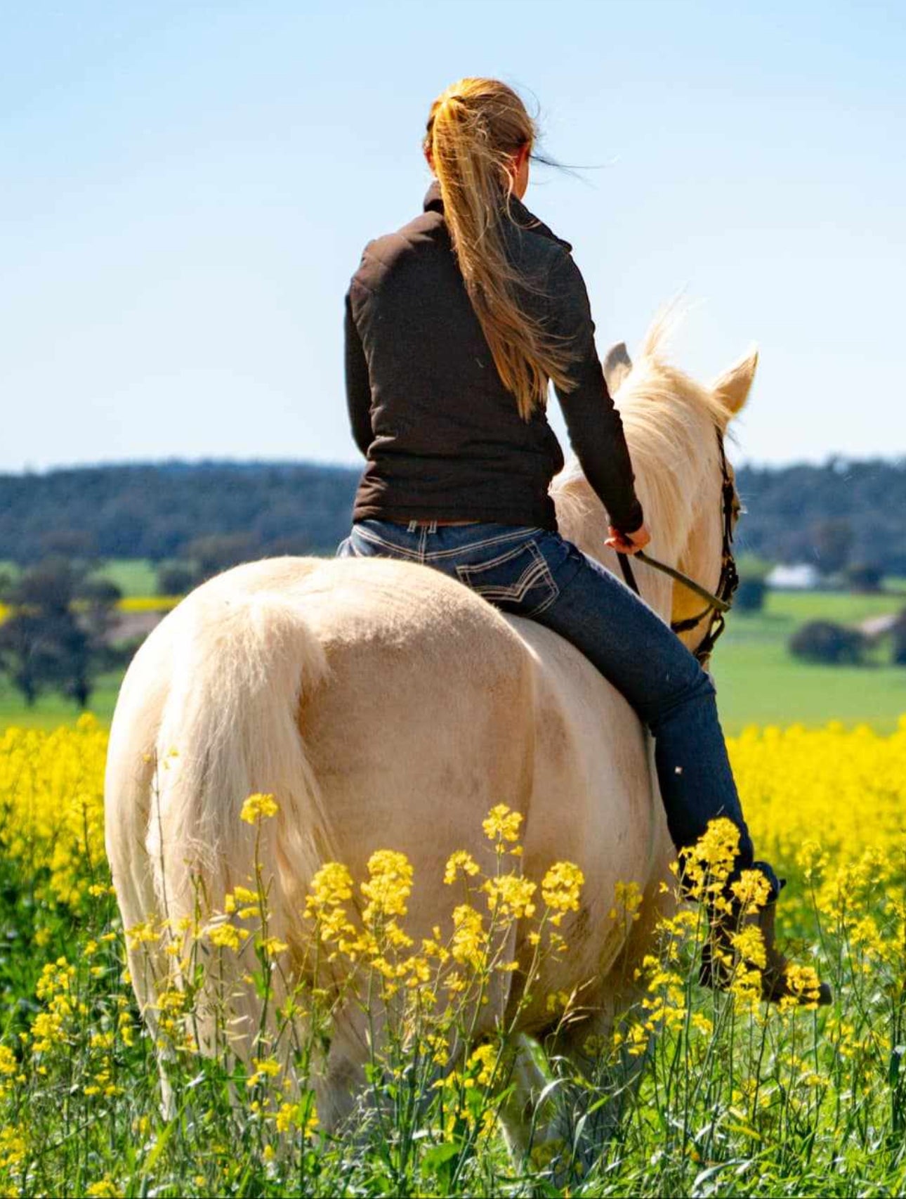 Ultimate Equestrian Jacket